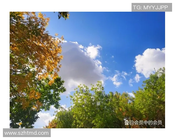 足球的足与人生的旅程如何交织成一幅精彩的画卷