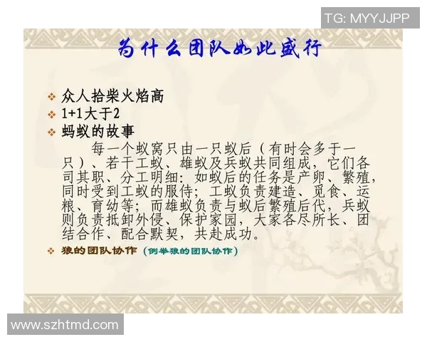 总决赛精彩回顾与未来展望聚焦冠军之路与团队精神的力量