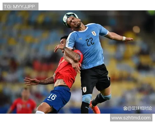 阿根廷与巴拉圭的激战回顾与分析球迷热情高涨的精彩瞬间